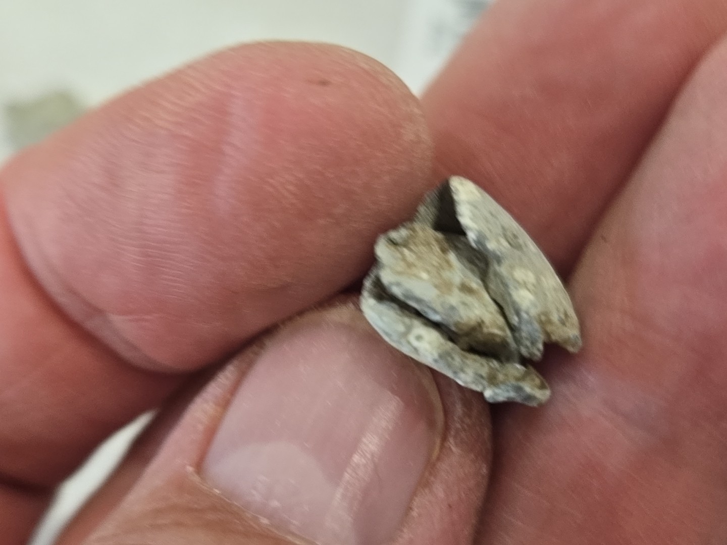 Roman Lead Curse/wish found at Aberford Roman viscus area Please See Below L184s
