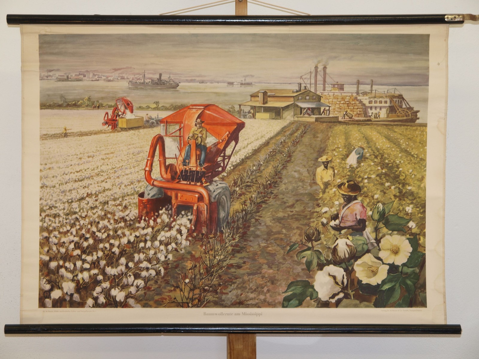 Cotton Harvest Mississippi Ships Cotton Cotton Plant~1960 Wall Picture 100x70cm