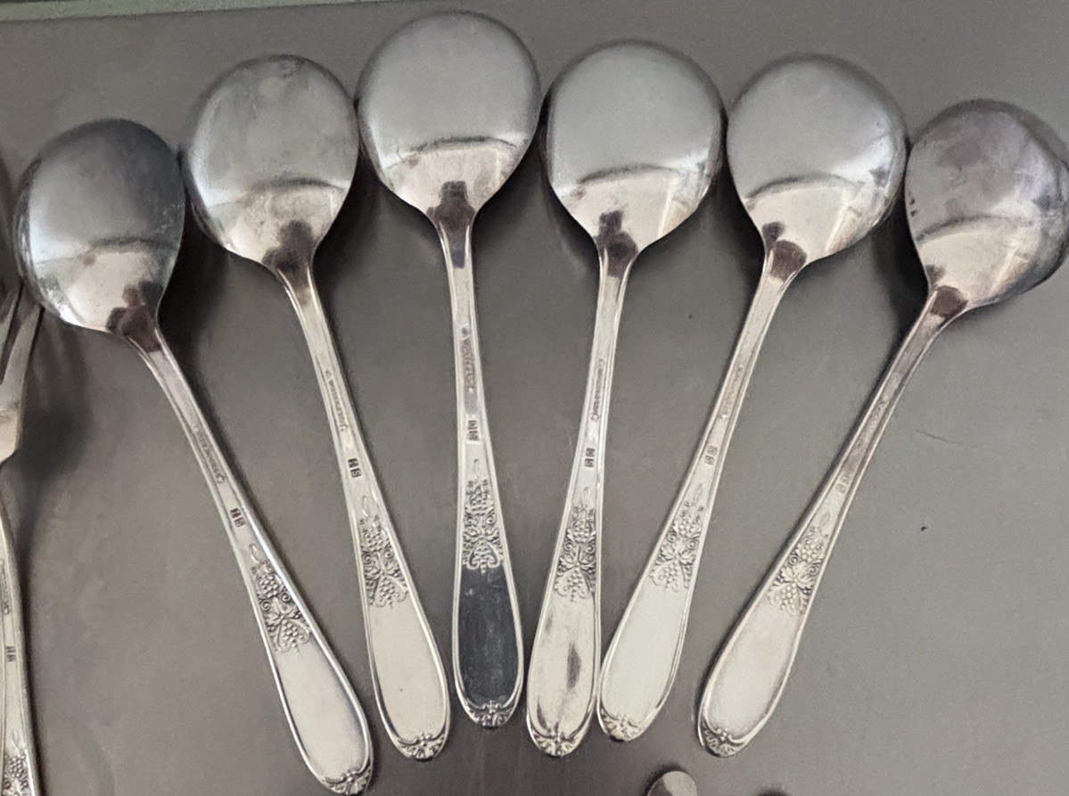 32-pc Silverplate Flatware Grape Pattern BURGUNDY CHAMPAGNE WM Rogers Svc for 6